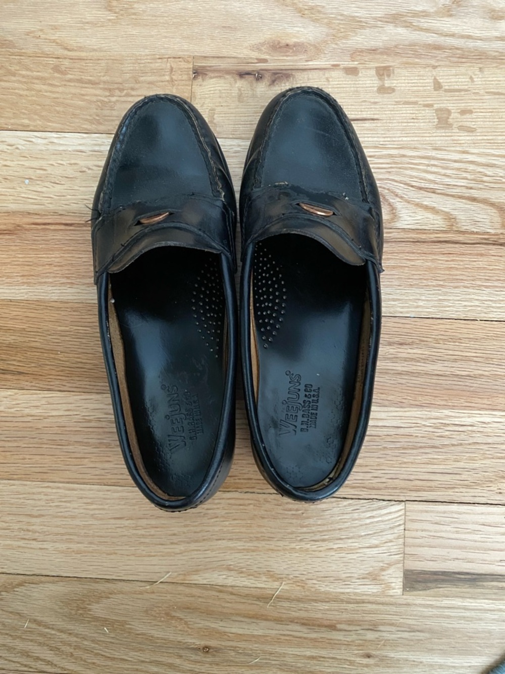 Venus Black Women’s Leather Penny Loafers